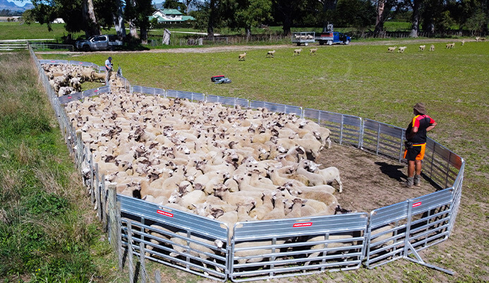 Porta Yard In Use